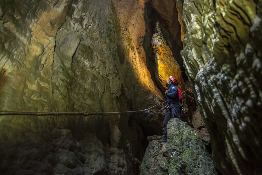 Lisbon: Setubal Arrábida Natural Park Adventure Circuit - The nature lesson you can actually use: flora, fauna, and geology