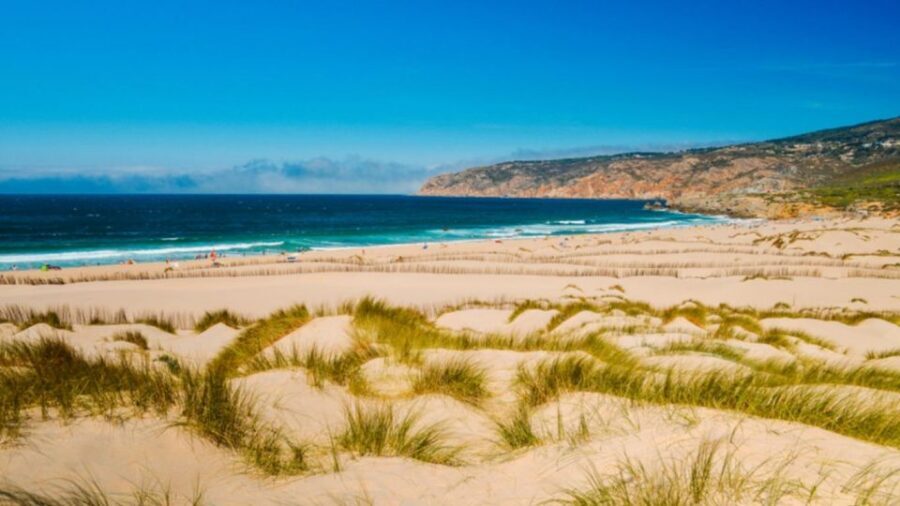 Lisbon: Sintra, Pena Palace, Cabo Roca Coast & Cascais Tour - Price and value: how $39 fits the day you’re buying