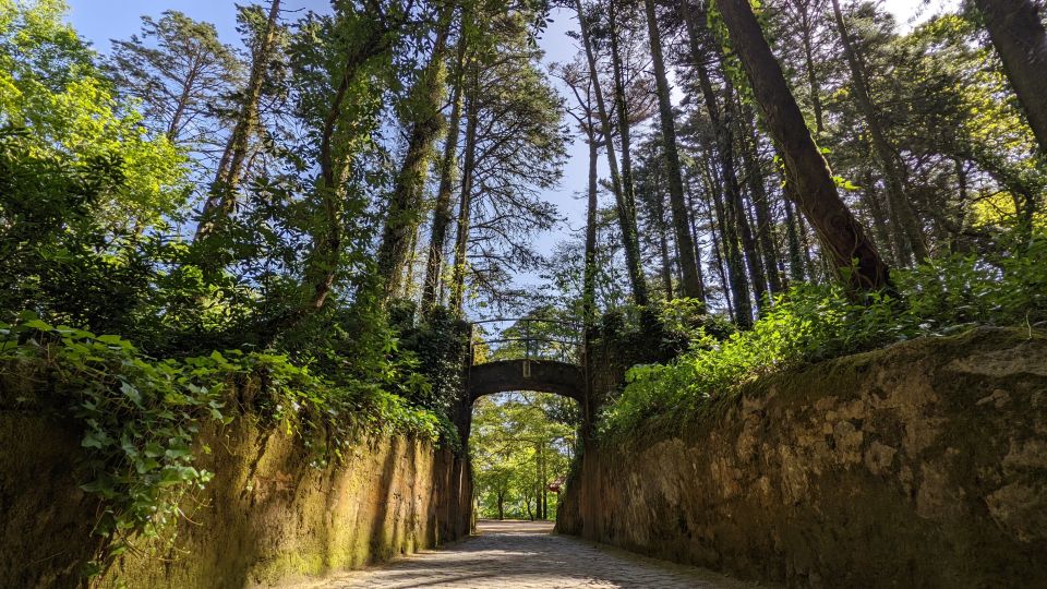Lisbon: Sintra, Pena, Regaleira, Cabo da Roca & Cascais - What you’re really paying for: value at about $23