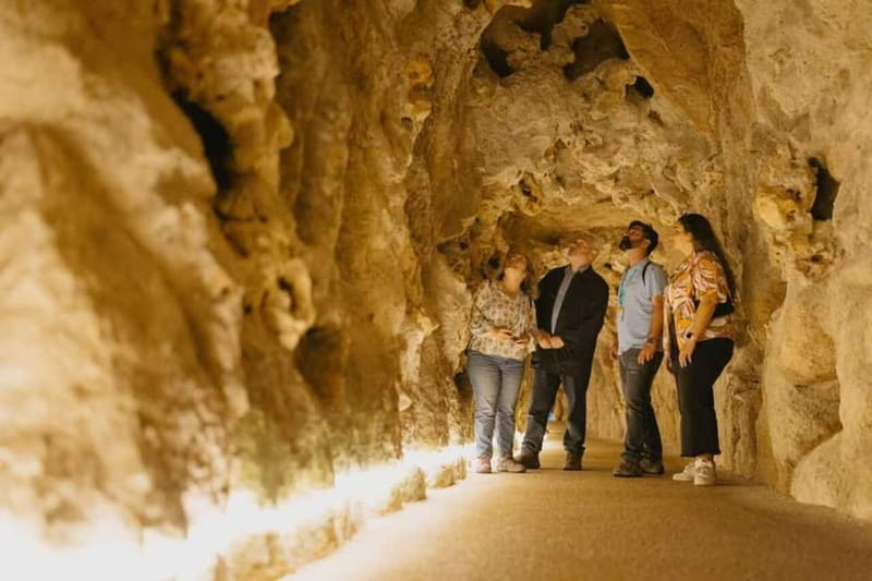 Lisbon: Sintra Tour with Optional Regaleira & Pena Gardens - Optional Pena Palace interior: should you pay for it?
