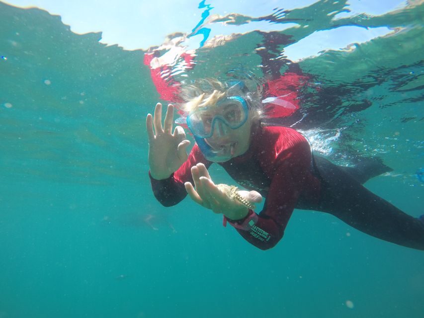 Lisbon: Snorkelling in Sesimbra/Arrábida Natural Park - First Step: Meeting Near the Diving Centers and Getting Ready