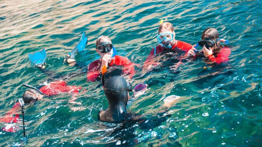 Lisbon: Snorkelling in Sesimbra/Arrábida Natural Park - Calm Water + Clear Safety Coaching (This Is Where the Tour Shines)