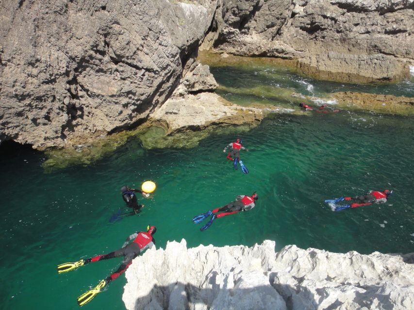 Lisbon: Snorkelling in Sesimbra/Arrábida Natural Park - How an Underwater Park Becomes a More Interesting Memory
