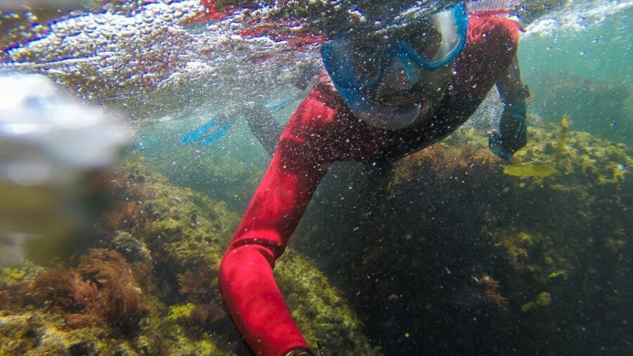 Lisbon: Snorkelling in Sesimbra/Arrábida Natural Park - What to Bring (So You Don’t Feel Frazzled Mid-Trip)
