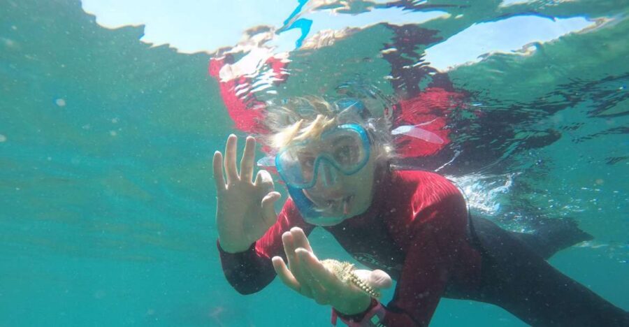 Lisbon: Snorkelling in Sesimbra/Arrábida Natural Park - The Boat Ride Along the Arrábida Coast (and Why It Matters)