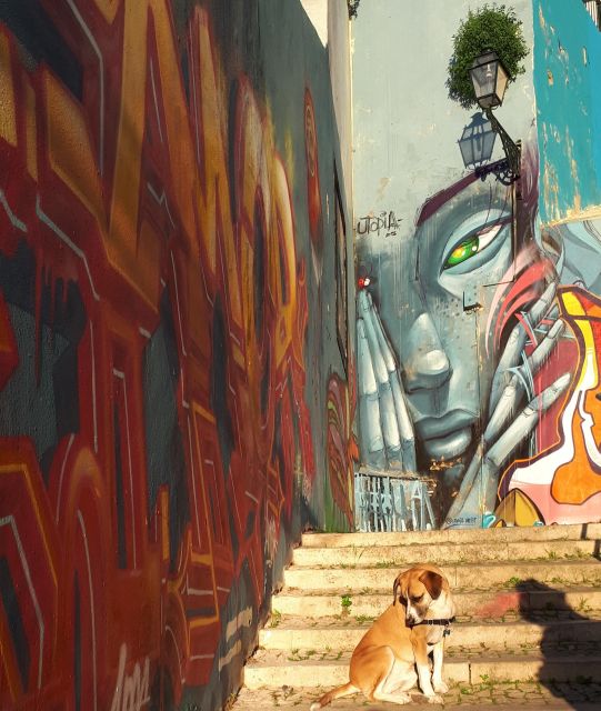 Lisbon Street Art Lovers Walk - Who should book this walk (and who might want a different plan)