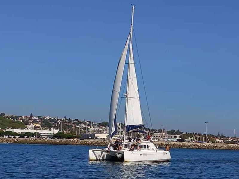 Lisbon: Sunset Catamaran Cruise with Drinks - Should You Book This Sunset Catamaran Cruise?