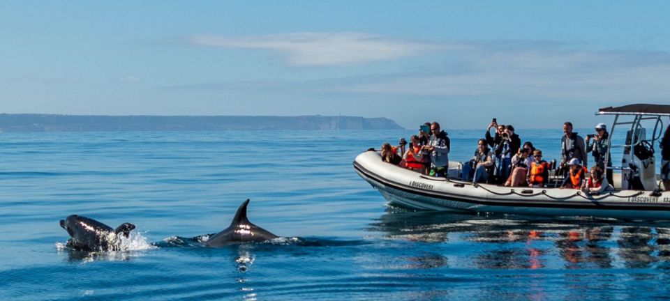 Lisbon: Sunset SpeedBoat Tour - The Moscatel Sunset Stop: Why This Is the Real Payoff