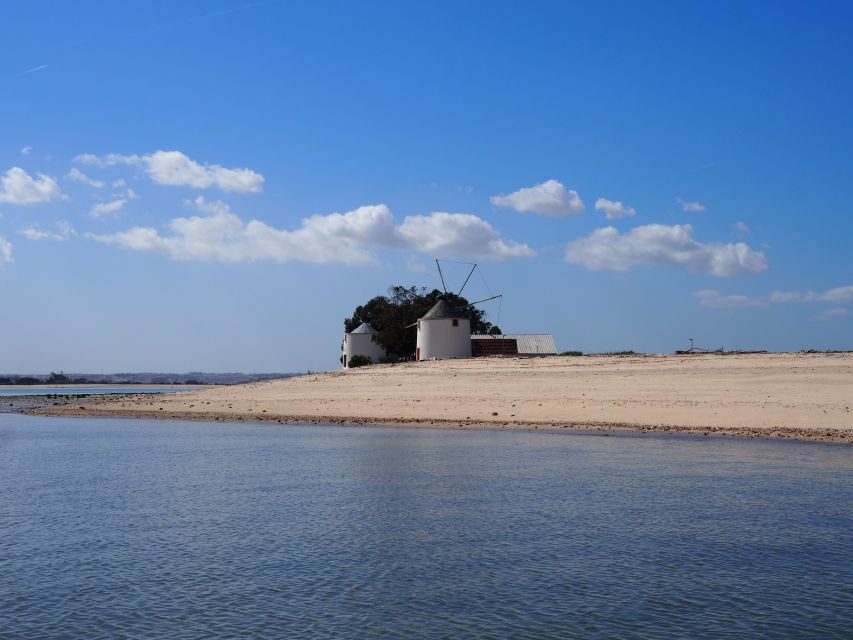Lisbon: Tagus Estuary Nature Reserve Birdwatching Boat Tour - Parque das Nações to Bairro dos Pescadores: city views, then birding focus