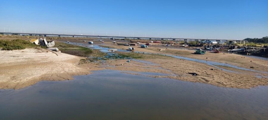 Lisbon: Tagus Estuary Nature Reserve Birdwatching Boat Tour - Price and what makes $58 per person feel fair