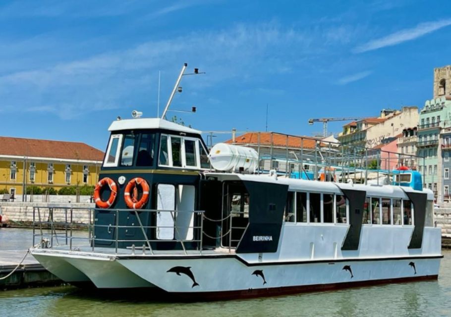 Lisbon: Tagus River Cruise to the Ocean & Dolphin Watching - The dolphin part: how to think about success and how guides hunt pods