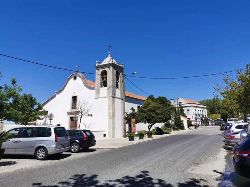Lisbon to Wine Tasting Setubal, Two Cellars, Half Day Tour - Azeitão tastings: Moscatel is the star, not an afterthought