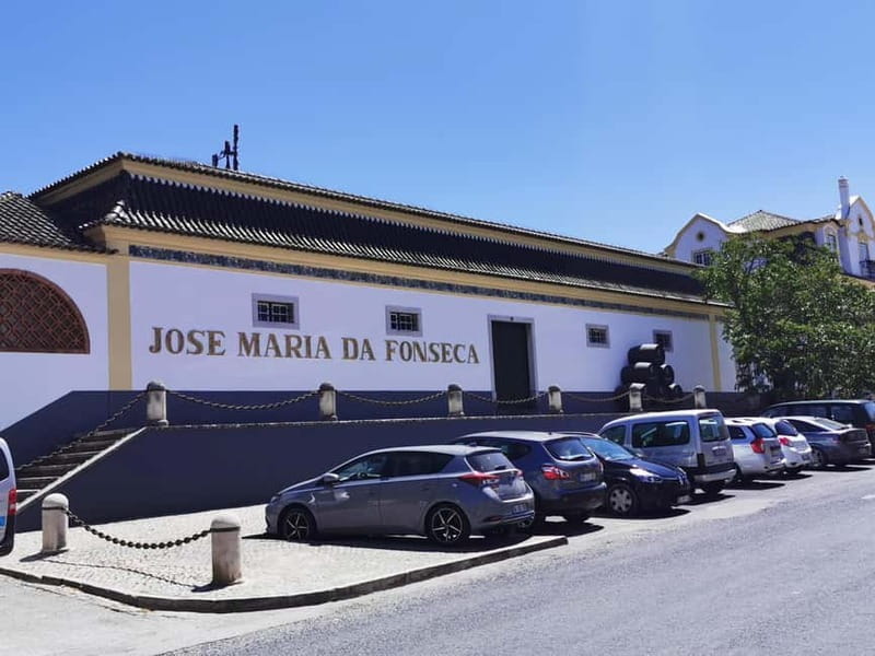 Lisbon to Wine Tasting Setubal, Two Cellars, Half Day Tour - Jose Maria da Fonseca: the classic cellar stop and what to watch for