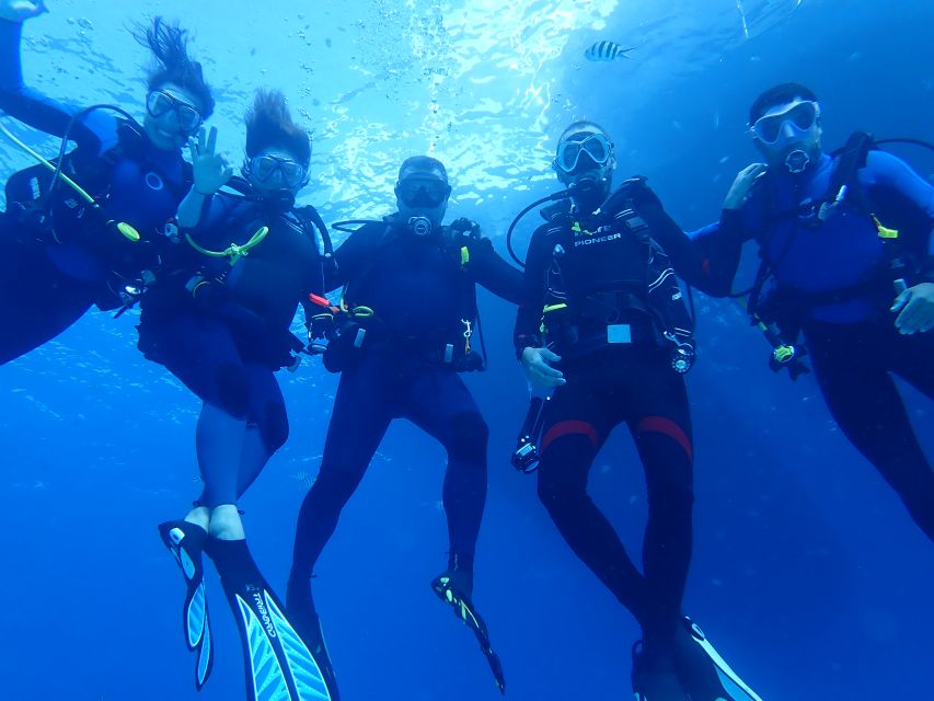 Lisbon: Try Dive in Arrábida Marine Reserve Setubal Sesimbra - Key things that make this Arrábida try-scuba session worth your time