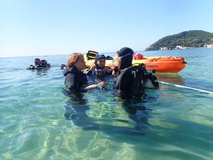 Lisbon: Try Dive in Arrábida Marine Reserve Setubal Sesimbra - From safety briefing to fitted gear: what “try scuba” really means here