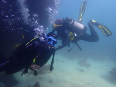 Lisbon: Try Dive in Arrábida Marine Reserve Setubal Sesimbra - Getting to Creiro’s Beach near Anicha Bar (and handling parking)