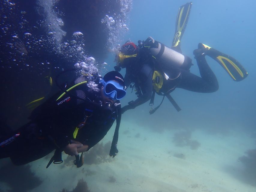Lisbon: Try Dive in Arrábida Marine Reserve Setubal Sesimbra - Getting to Creiro’s Beach near Anicha Bar (and handling parking)