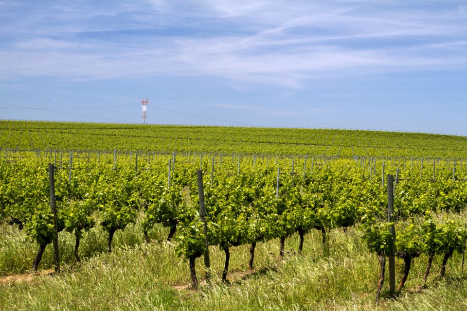 Private Évora World Heritage Tour from Lisbon - Guide and driver flexibility: getting the day to match your interests