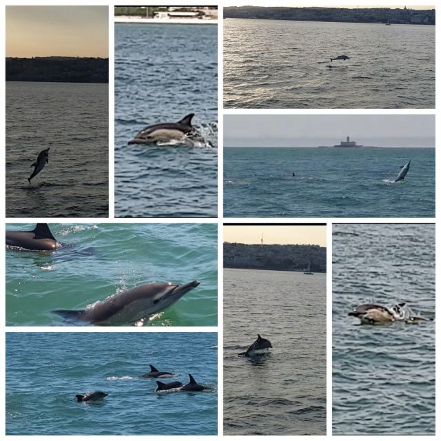 Private Lisbon Sightseeing Sailing Boat Tour with Locals - Key Things You’ll Like About This Private Lisbon Sailing Tour