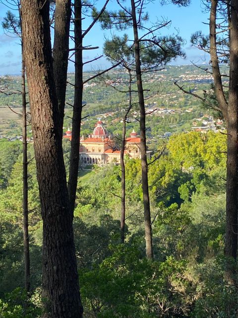 Private Tuk Tuk Tour around Sintra - Monserrate Gardens and Palace: When Foreign Influences Shine