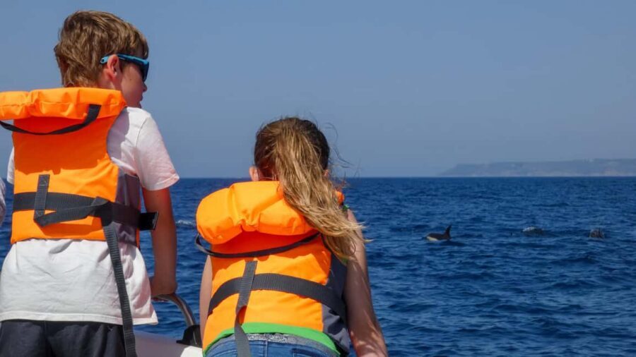 Sesimbra: Arrábida Dolphin Watching Boat Tour with Biologist - Praia da Mijona: quick coastal views that break up the hunt