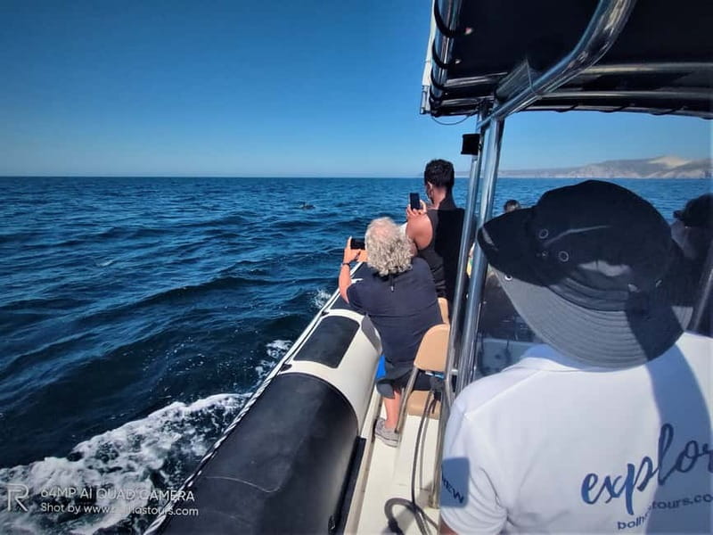 Sesimbra: Dolphin Watching Boat Tour with Biologist Guide - The biologist guide: what you learn while you’re still searching