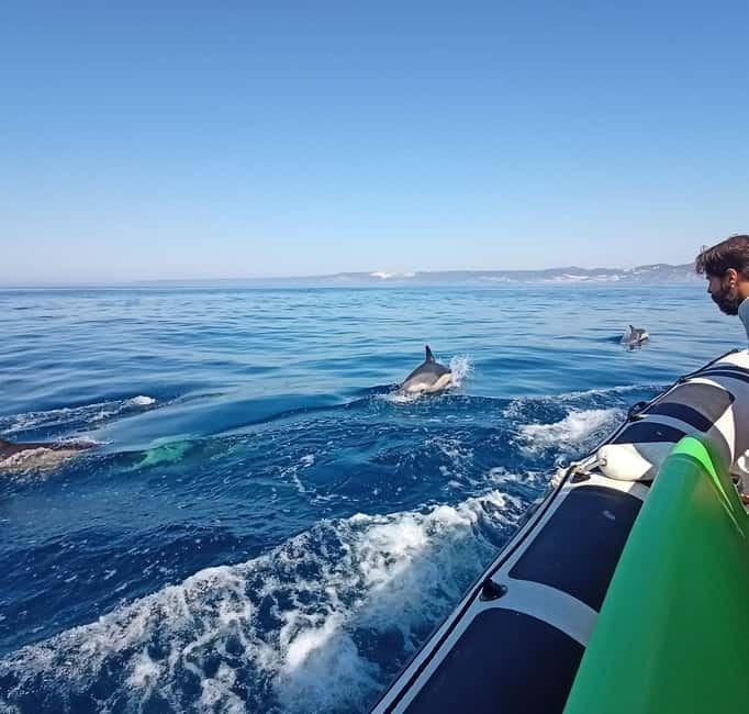 Sesimbra: Dolphin Watching Boat Tour with Biologist Guide - Dolphin watching with eco-friendly conduct (and why it matters)
