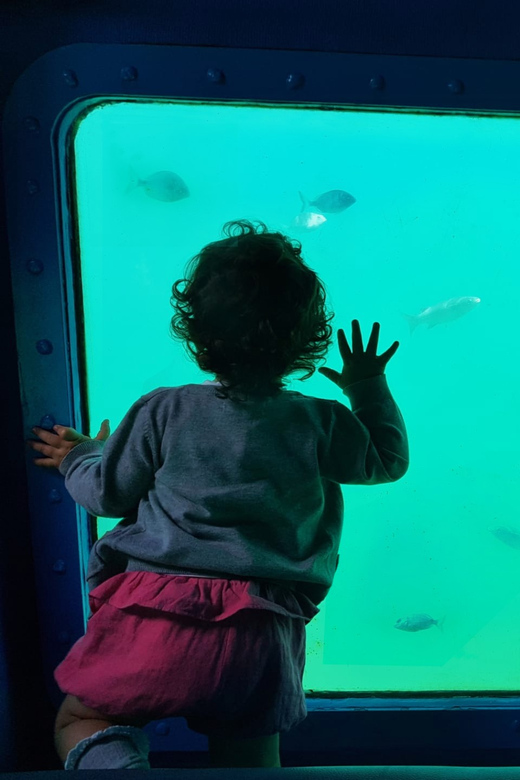 Sesimbra: Family Friendly Boat Sea Tour w/ Submarine Vision - Key highlights you’ll actually care about