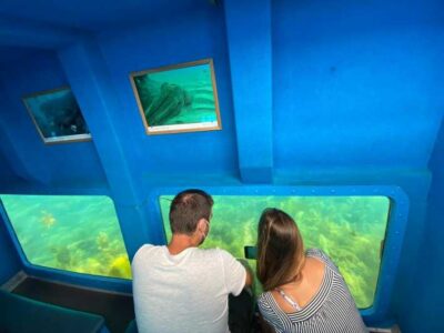 Sesimbra: Family Friendly Boat Sea Tour w/ Submarine Vision - Price and value: what $34 covers (and what it doesn’t)