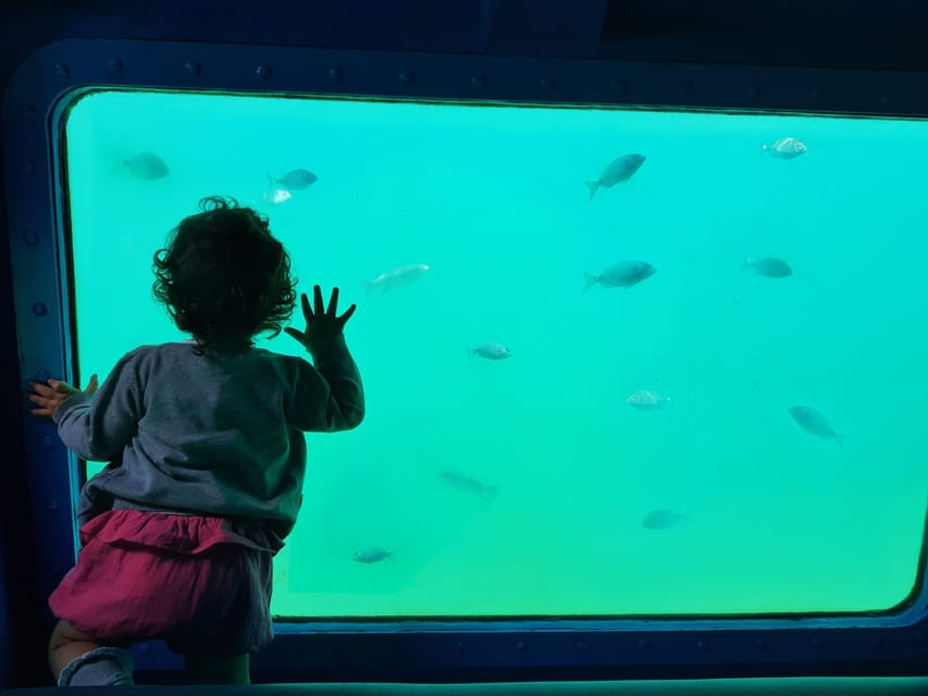 Sesimbra: Family Friendly Boat Sea Tour w/ Submarine Vision - Who this tour suits best (and who should think twice)
