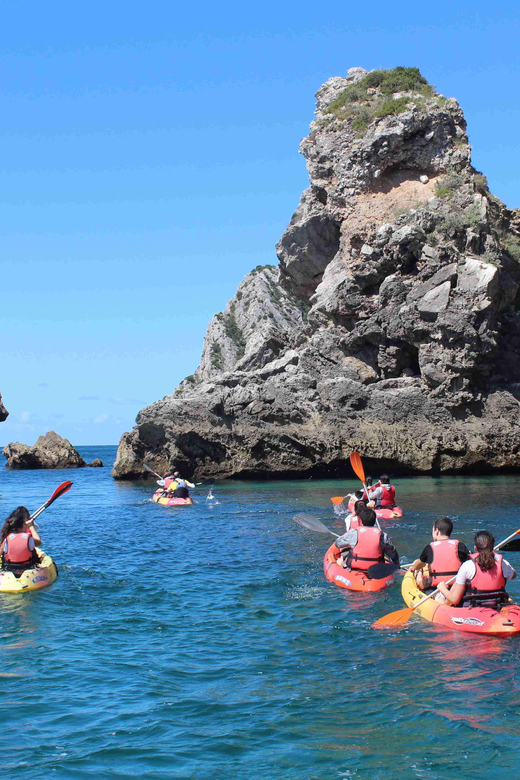 Sesimbra: Ribeiro Cavalo Beach, Caves, & Arrábida Kayak Tour - Who this tour suits best (and who should skip it)