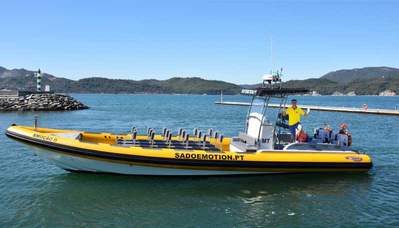 Setúbal and Tróia: Dolphin Watching and Arrábida Bays - Key things you should know before you go