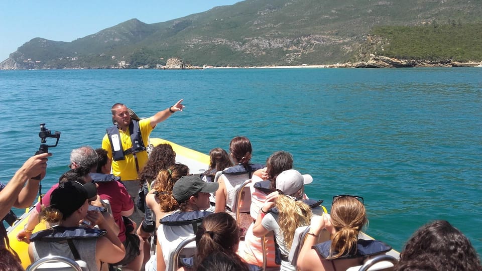 Setúbal and Tróia: Dolphin Watching and Arrábida Bays - Should you book Sado Emotion’s dolphin and Arrábida bays tour?