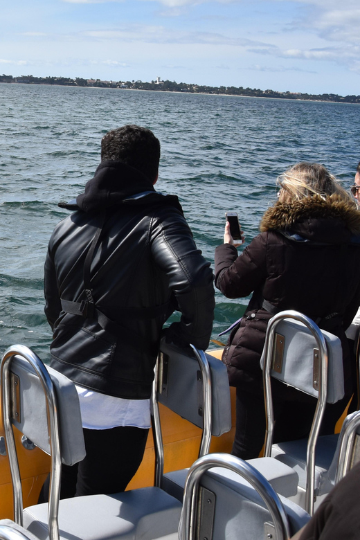 Setúbal and Tróia: Dolphin Watching and Arrábida Bays - Why the boat design changes the whole Arrábida experience