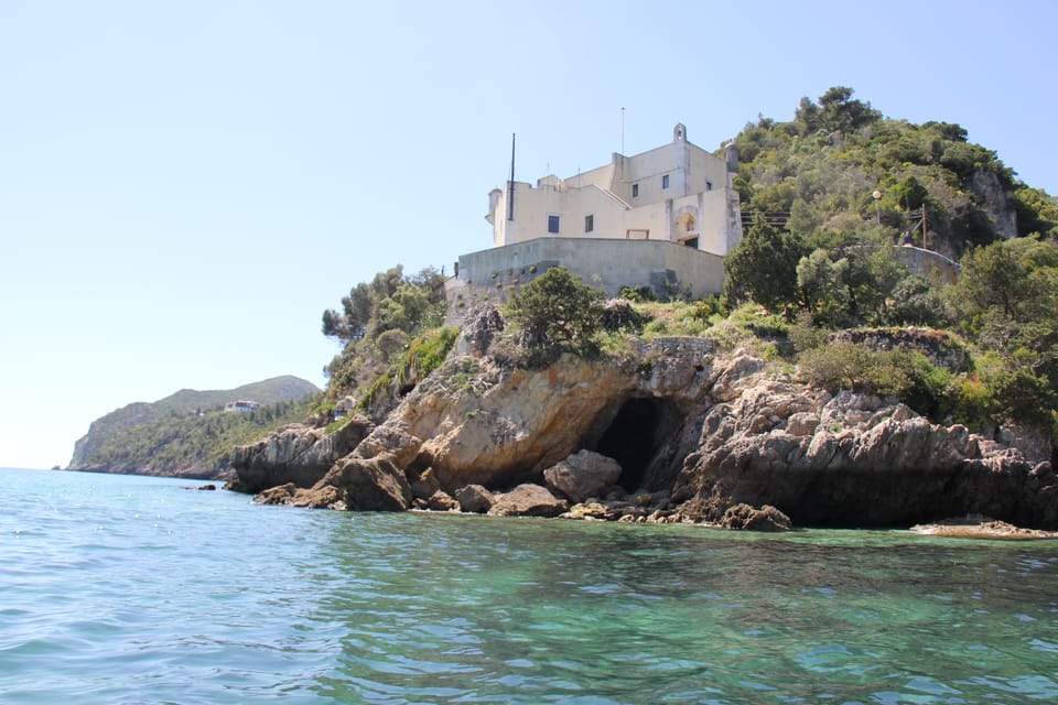 Setúbal and Tróia: Dolphin Watching and Arrábida Bays - Timing and onboard feel: 2 hours that actually move