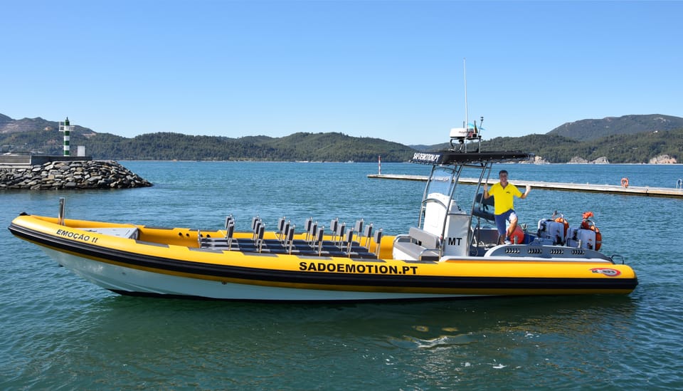 Setúbal and Tróia: Dolphin Watching and Arrábida Bays - Price and value: what $53 buys you in practice