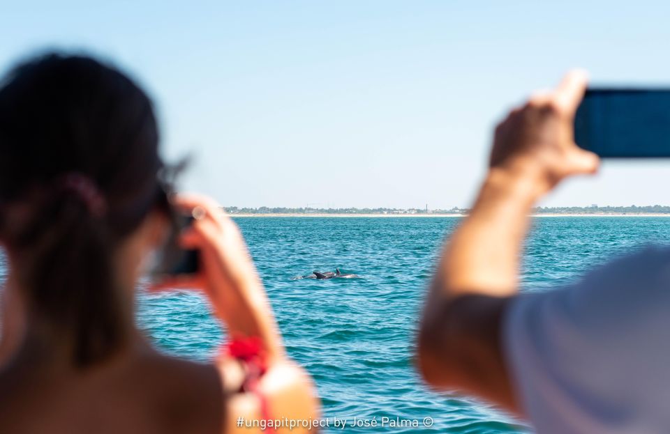 Setúbal: Dolphin-Watching Boat Tour - Key things I’d prioritize before booking