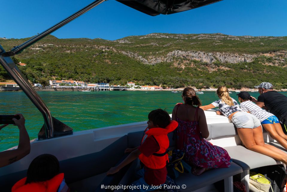 Setúbal: Dolphin-Watching Boat Tour - Why Setúbal Is a Great Base for Dolphin Watching