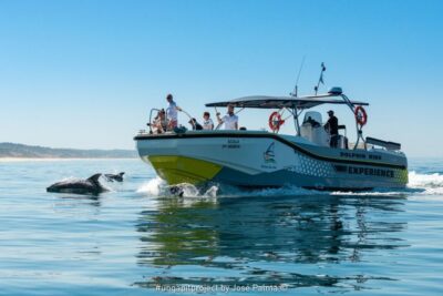 Setúbal: Dolphin-Watching Boat Tour - The 2.5-Hour Cruise: What Happens After You Leave Setúbal