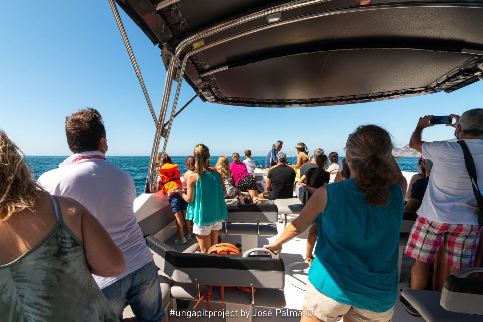 Setúbal: Dolphin-Watching Boat Tour - How the Dolphin Search Actually Works (and Why the Crew Matters)