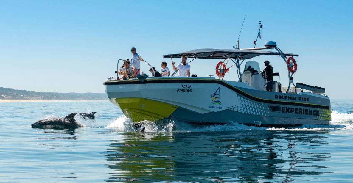 Setúbal: Dolphin Watching Boat Tour - How good is the viewing time? Setting realistic expectations