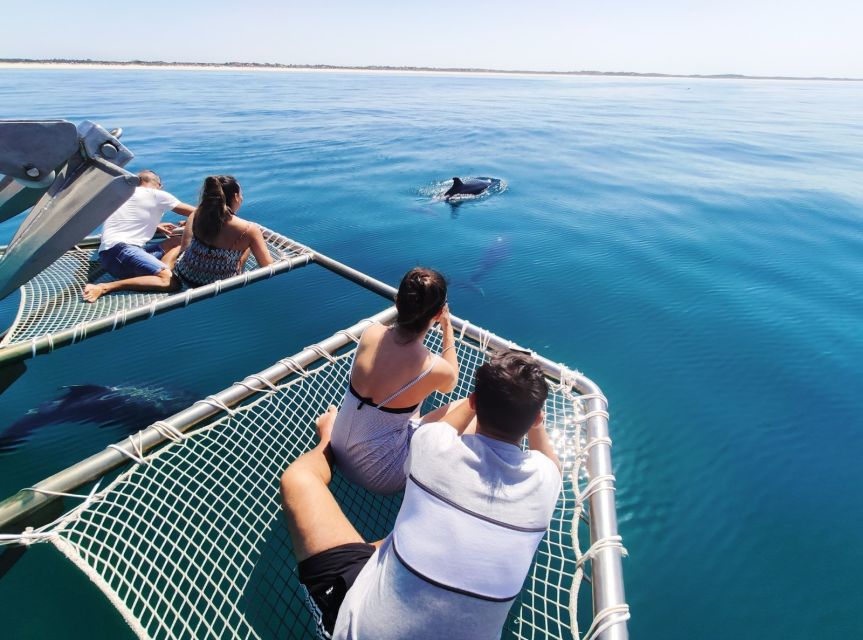 Setúbal: Dolphin Watching Tour - Getting the best seat on a stable catamaran