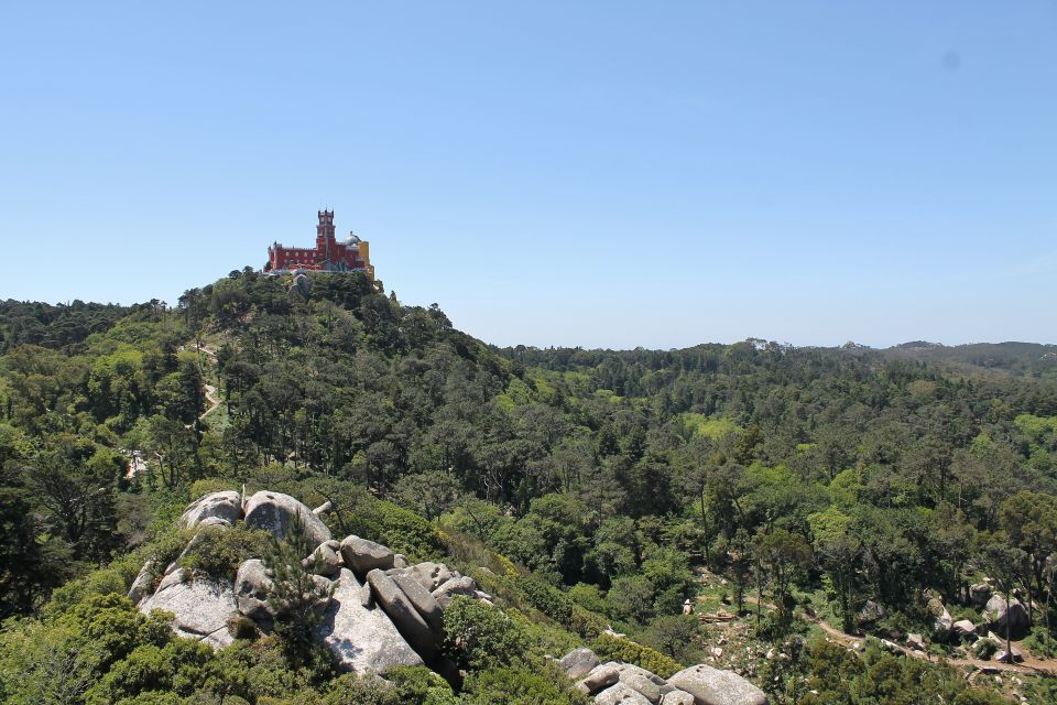 Sintra and Cascais: Full-Day Private Sightseeing Tour - The Sintra National Park Drive: Where the Scenery Does the Talking